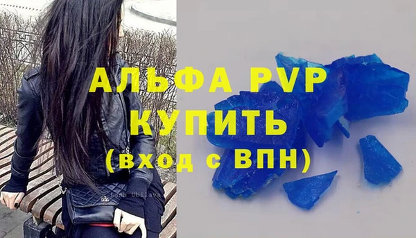 спиды Инта