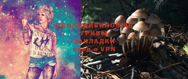 мяу мяу мука Каменка