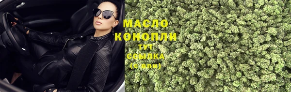 соль ск Каменногорск