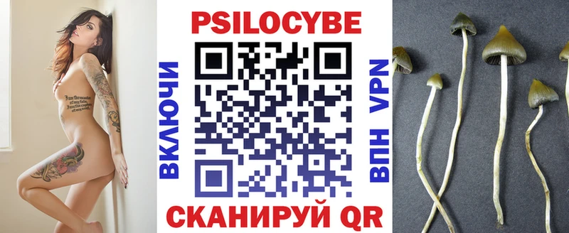 Псилоцибиновые грибы MAGIC MUSHROOMS  Купить  Свирск 