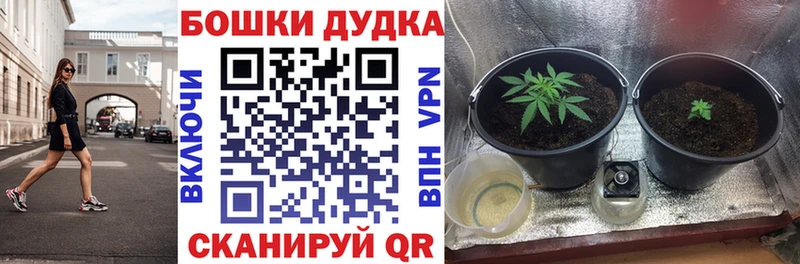 Шишки марихуана AK-47  Купить  Свирск 